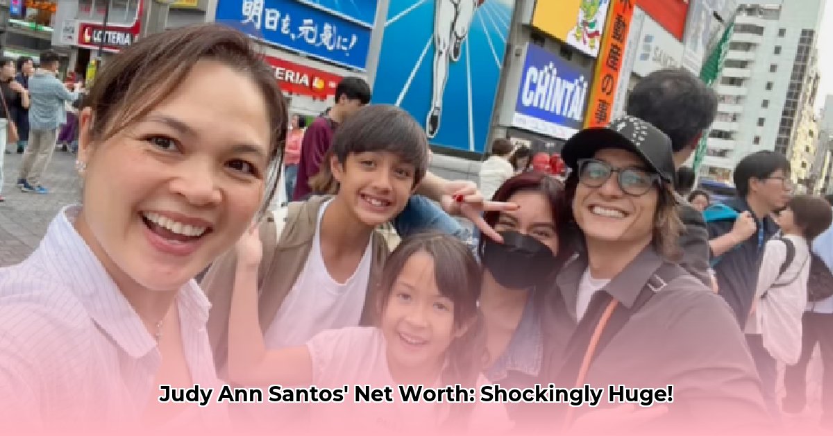 judy-ann-santos-net-worth